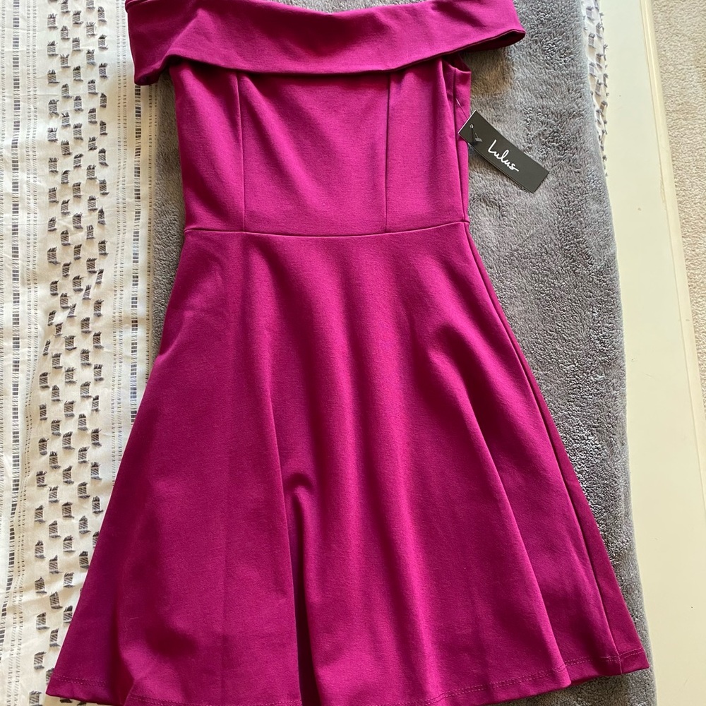 Lulus skater dress (never worn)